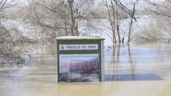 La localidad de Pradilla de Ebro ha sido una de las más afectadas por la riada. La localidad de Pradilla de Ebro ha sido una de las más afectadas por la riada.