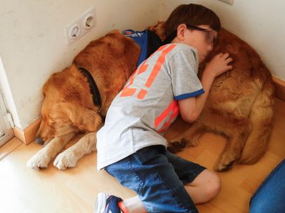Terapia asistida con perros