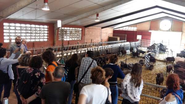 Participantes en el proyecto Participantes en el proyecto