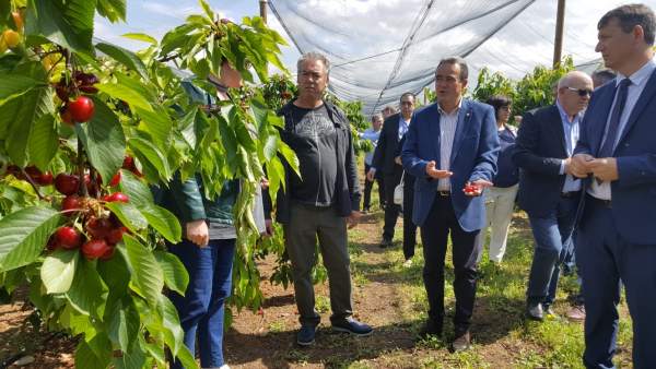 Visita a una finca de cerezas. Visita a una finca de cerezas.