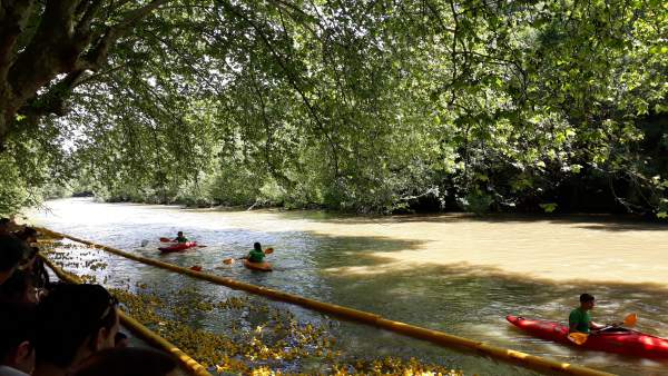 I Estropatada en el río Arga de Pamplona I Estropatada en el río Arga de Pamplona