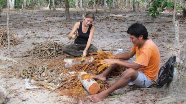 Ayahuasca