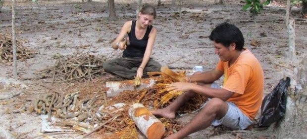 Ayahuasca