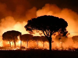 Incendio en Doñana