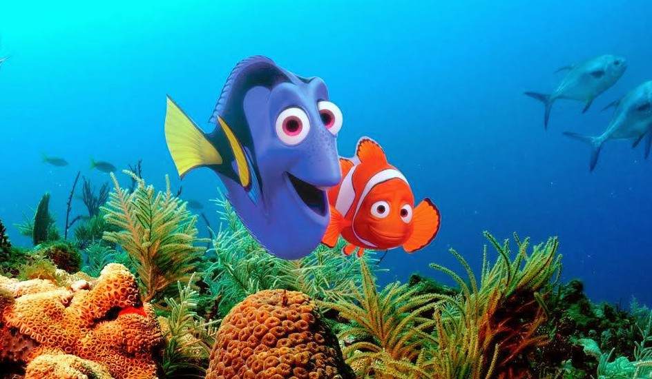 Buscando a Nemo Buscando a Nemo