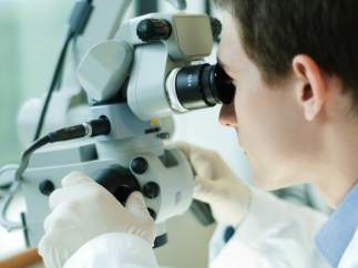 Investigación