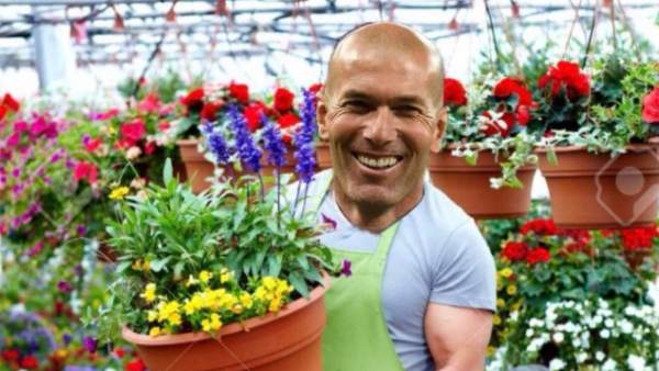 Memes de Zidane Memes de Zidane