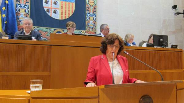 La consejera María Victoria Broto La consejera María Victoria Broto