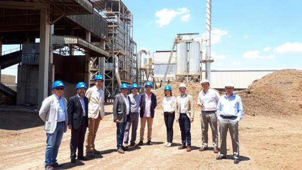 Visita a las instalaciones de Sacyr Industrial en Linares. Visita a las instalaciones de Sacyr Industrial en Linares.