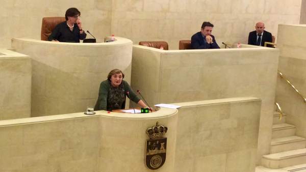La consejera de Sanidad, María Luisa Real, en el Parlamento La consejera de Sanidad, María Luisa Real, en el Parlamento