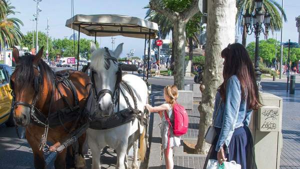 Una carroza de caballos para turistas apostada en La Rambla de Barcelona. Una carroza de caballos para turistas apostada en La Rambla de Barcelona.