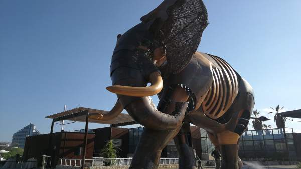 Escipión da la bienvenida a los visitantes de Bioparc Escipión da la bienvenida a los visitantes de Bioparc