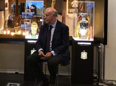 Vicente del Bosque