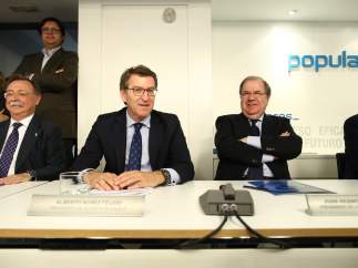 Alberto Núñez Feijoo en la reunión del Comité Ejecutivo Nacional del PP