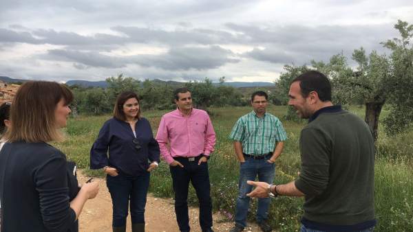 Visita a Oliete de Ciudadanos. Visita a Oliete de Ciudadanos.