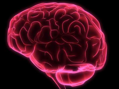 Cerebro