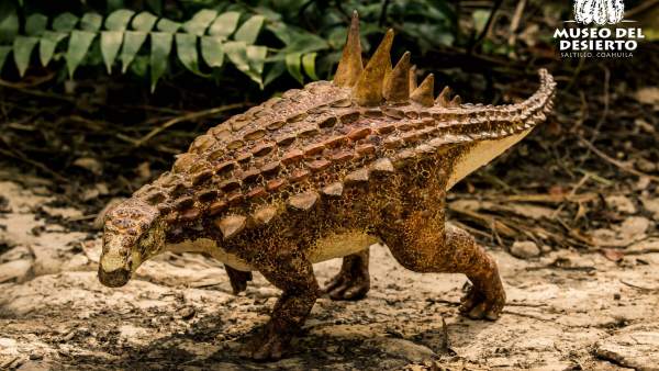 Nueva especie de dinosaurio Nueva especie de dinosaurio
