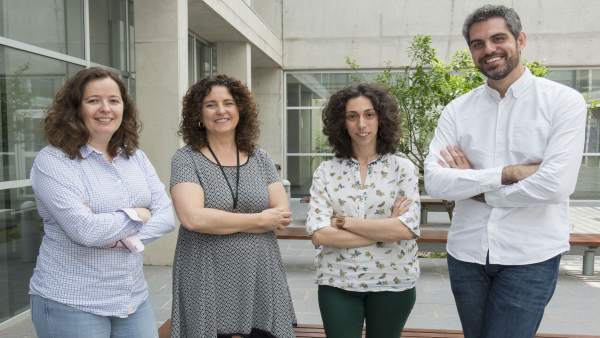 EQUIPO DE INVESTIGADORES EQUIPO DE INVESTIGADORES