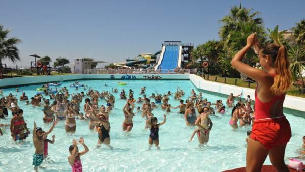 Aquatropic Aquatropic