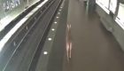 Un ciervo se cuela en una estación de metro