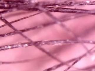 Cejas