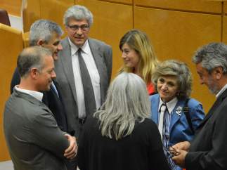 Dirección del Grupo Socialista del Senado, con Ander Gil y María Luisa Carcedo