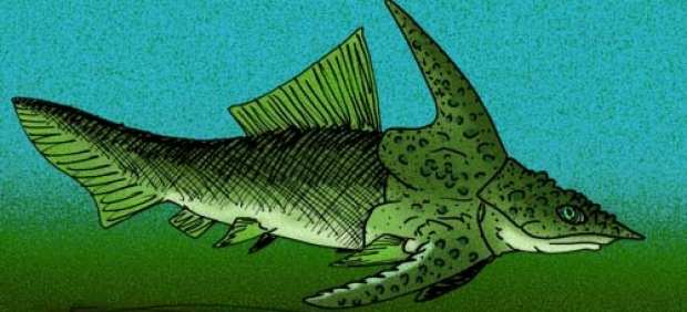 Brindabellaspis stensioi, el prehistórico "pez-ornitorrinco" australiano.
