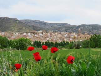 Proyectos para repoblar la España vacía