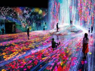Museo Borderless Art