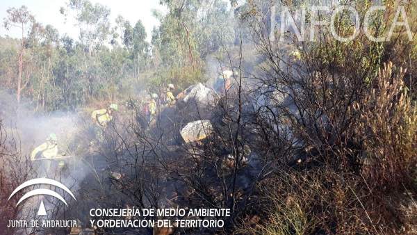 Incendio forestal en Valverde del Camino (Huelva)