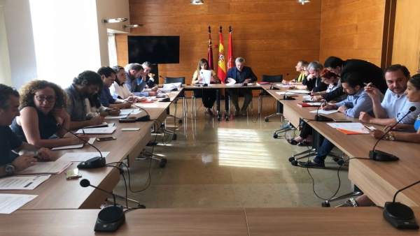 La Comisión de Pleno de Infraestructuras La Comisión de Pleno de Infraestructuras