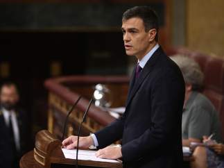 Pedro Sánchez comparece en el Congreso para informar del Consejo
