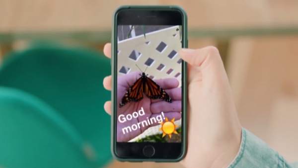 Instagram Stories Instagram Stories