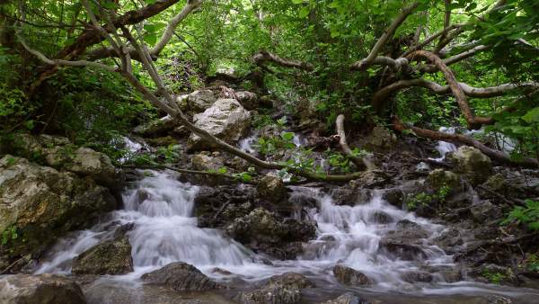 Acuífero villanueva del Rosario sierra del Jobo estudio internacional de la UMA Acuífero villanueva del Rosario sierra del Jobo estudio internacional de la UMA