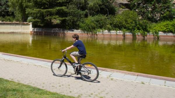 Lago del Parc de la Creueta del Coll. Lago del Parc de la Creueta del Coll.