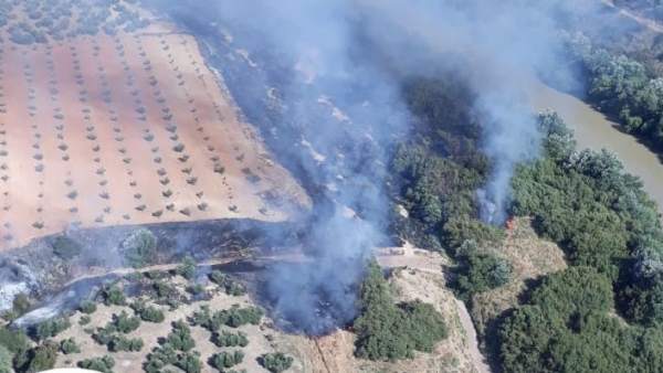 Incendio forestal en Montoro (Córdoba) Incendio forestal en Montoro (Córdoba)