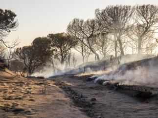 Cuesta Maneli calcinada tras el incendio junto a Doñana