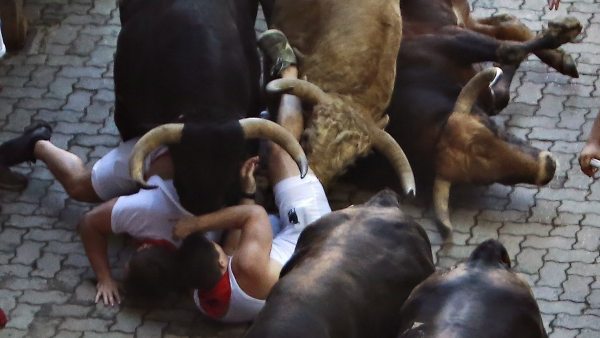 Debajo de la toros Debajo de la toros