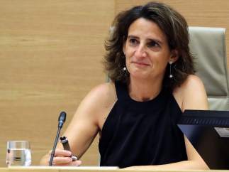 Teresa Ribera