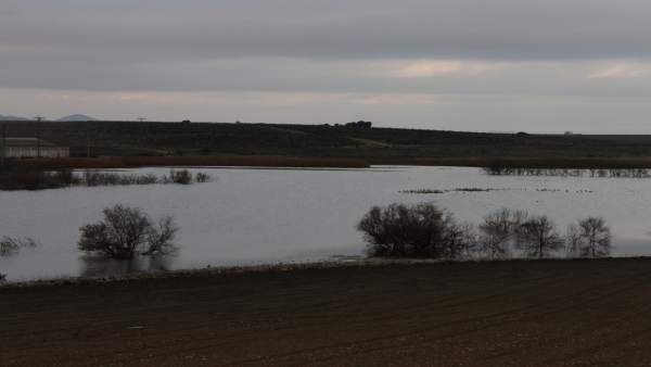 TABLAS DE DAIMIEL TABLAS DE DAIMIEL