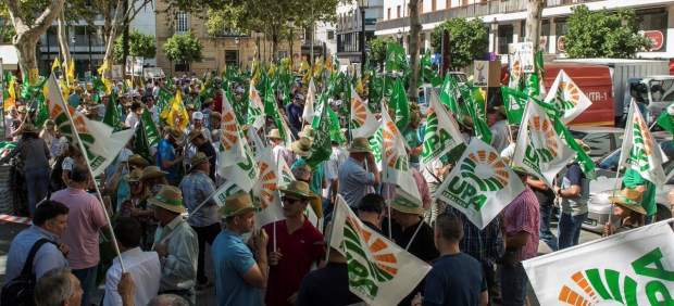 Concentración en defensa del sector de la aceituna.