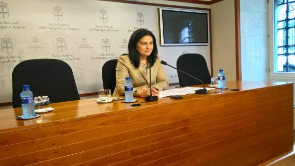 La diputada de Foro Asturias Carmen Fernández La diputada de Foro Asturias Carmen Fernández