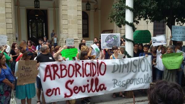 Concentración contra las talas del arbolado sevillano Concentración contra las talas del arbolado sevillano