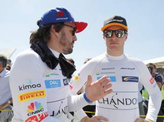 Fernando Alonso y Stoffel Vandoorne