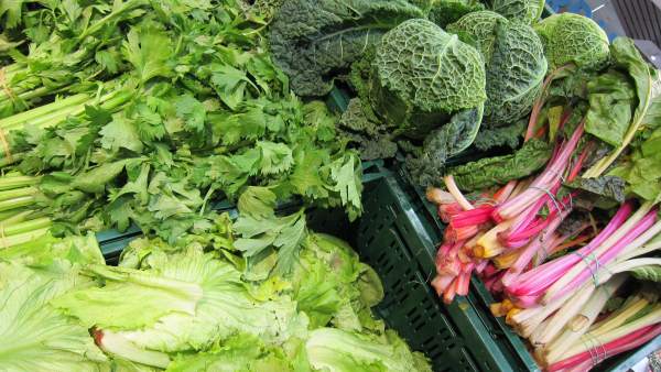 Apio, lechuga, col, acelgas, verdura, hortalizas, supermercado, consumo, IPC Apio, lechuga, col, acelgas, verdura, hortalizas, supermercado, consumo, IPC