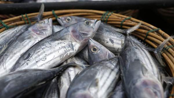 Pesca Pesca
