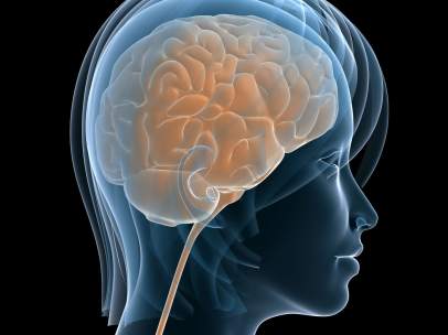 Cerebro