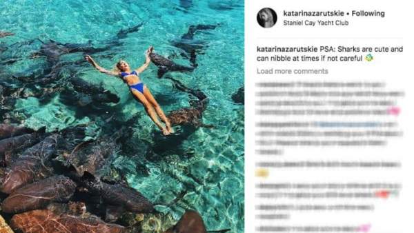 Katarina Zarutskie Katarina Zarutskie