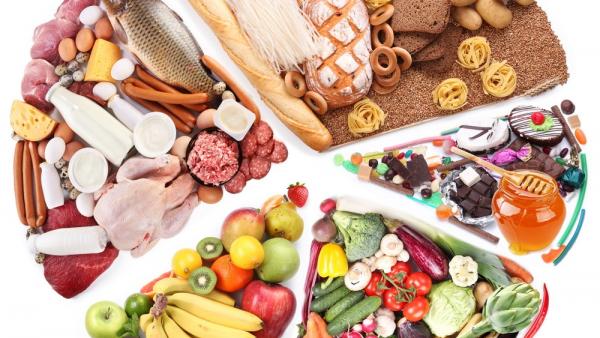 Alimentos y dietas Alimentos y dietas