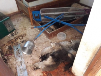 Una de las habitaciones